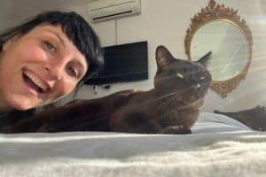 Dié kat kom weer ná 700 km in motor se onderstel