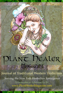 Plant-Healer-Magazine-Banner-3x4vertical-72dpi (1)