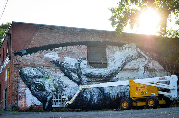 brooklyn-street-art-roa-andrew-franciosa-living-walls-albany-1-web