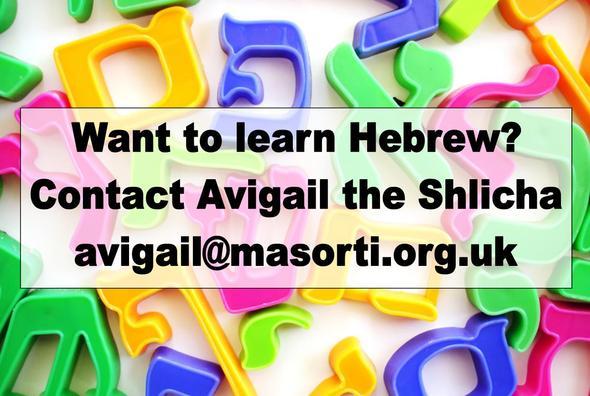 avigail Hebrew newsletter 24 Feb img