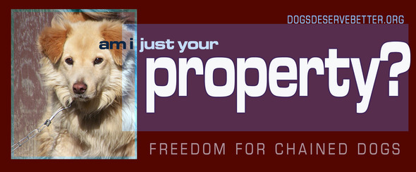 chainoff2012logobumper