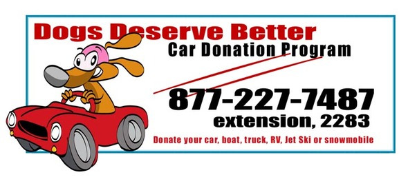 cardonationbanner