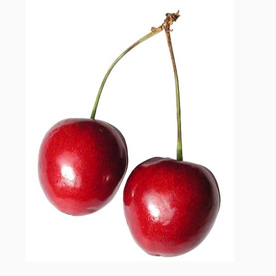 tico berry fruit