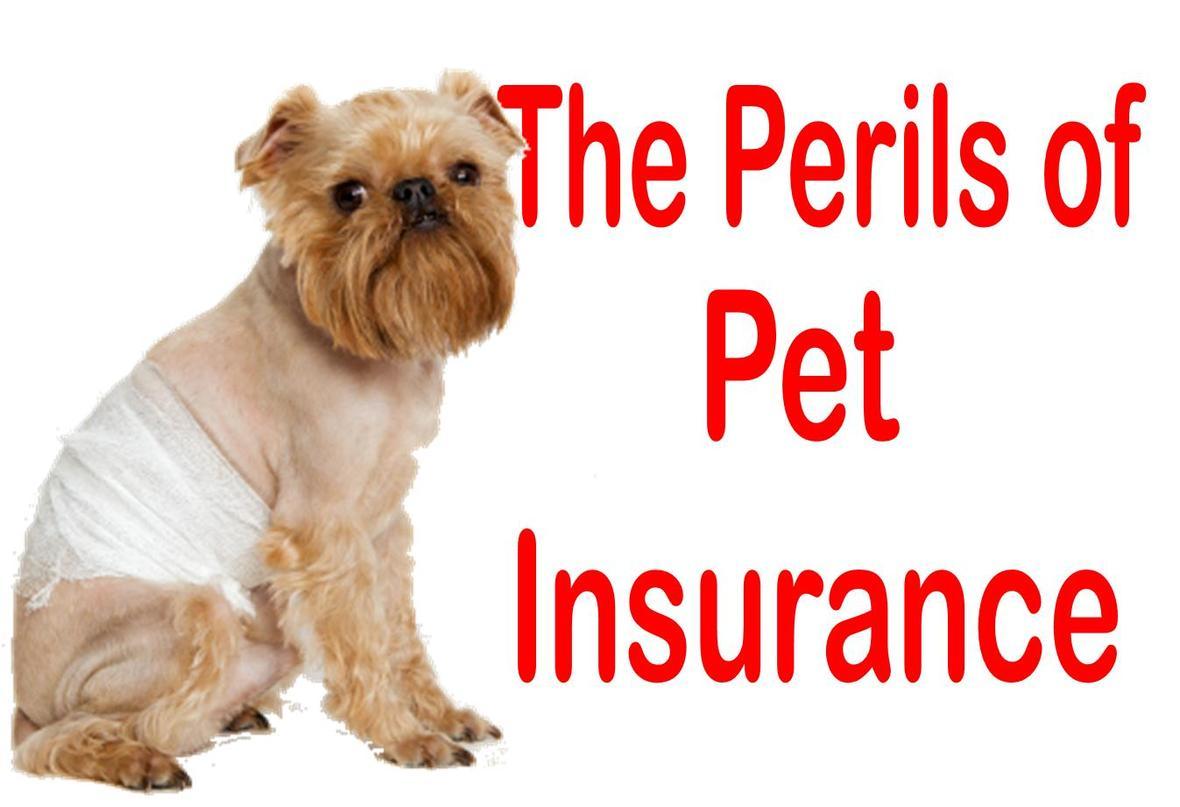 A 52 increase in my pet insurance premium is never going