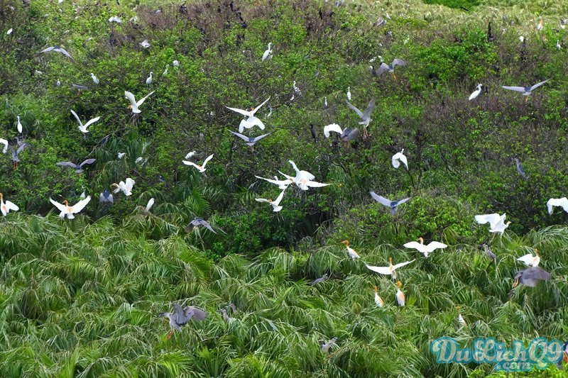 Sôi động mùa hè cùng DuLichQ9.com - 4