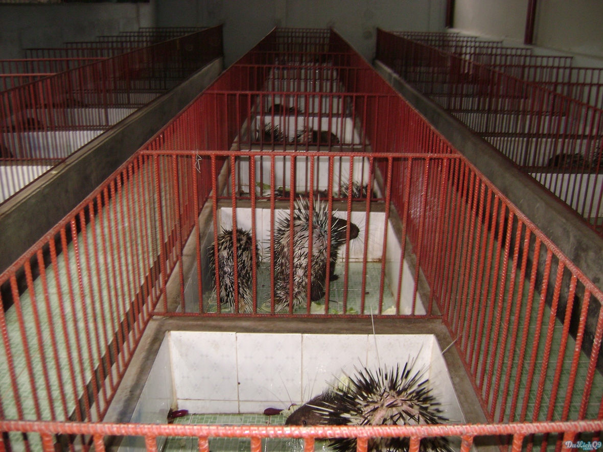 Sôi động mùa hè cùng DuLichQ9.com - 7