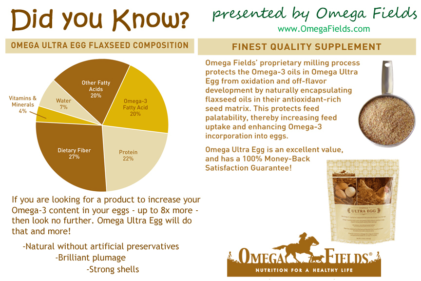 GIVEAWAY Omega Ultra Egg for Added Omega 3s