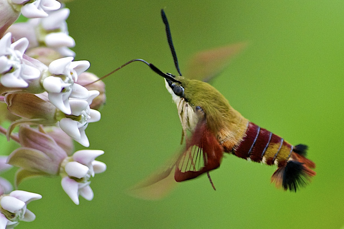 I m Looking Through You