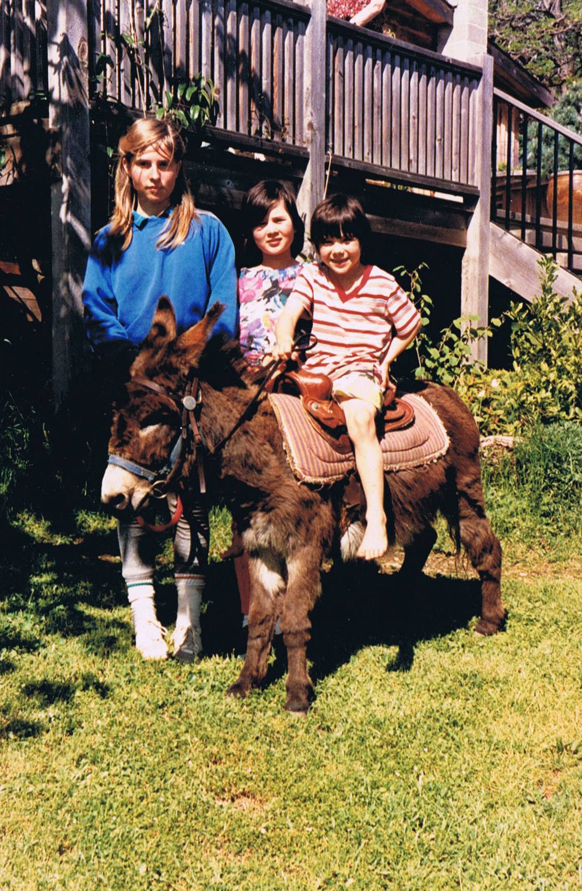 donkey3