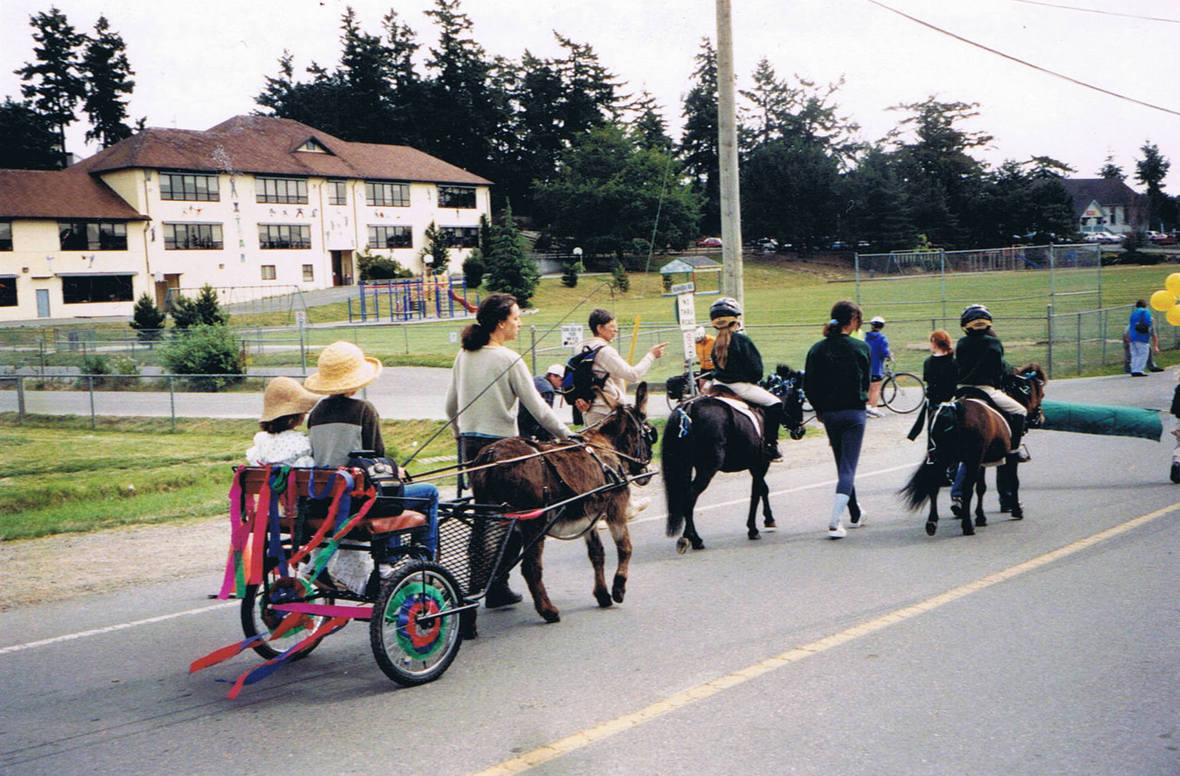 donkey4