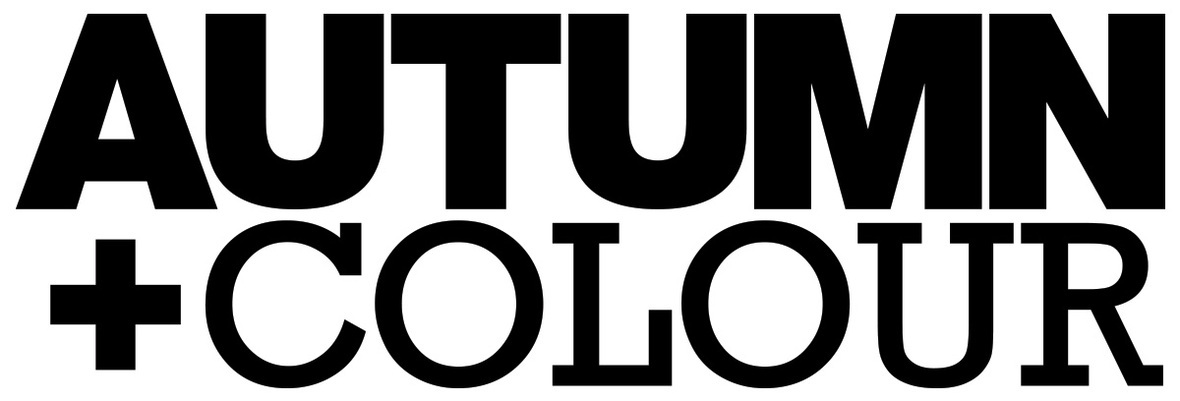 autum and colour new logo use this large