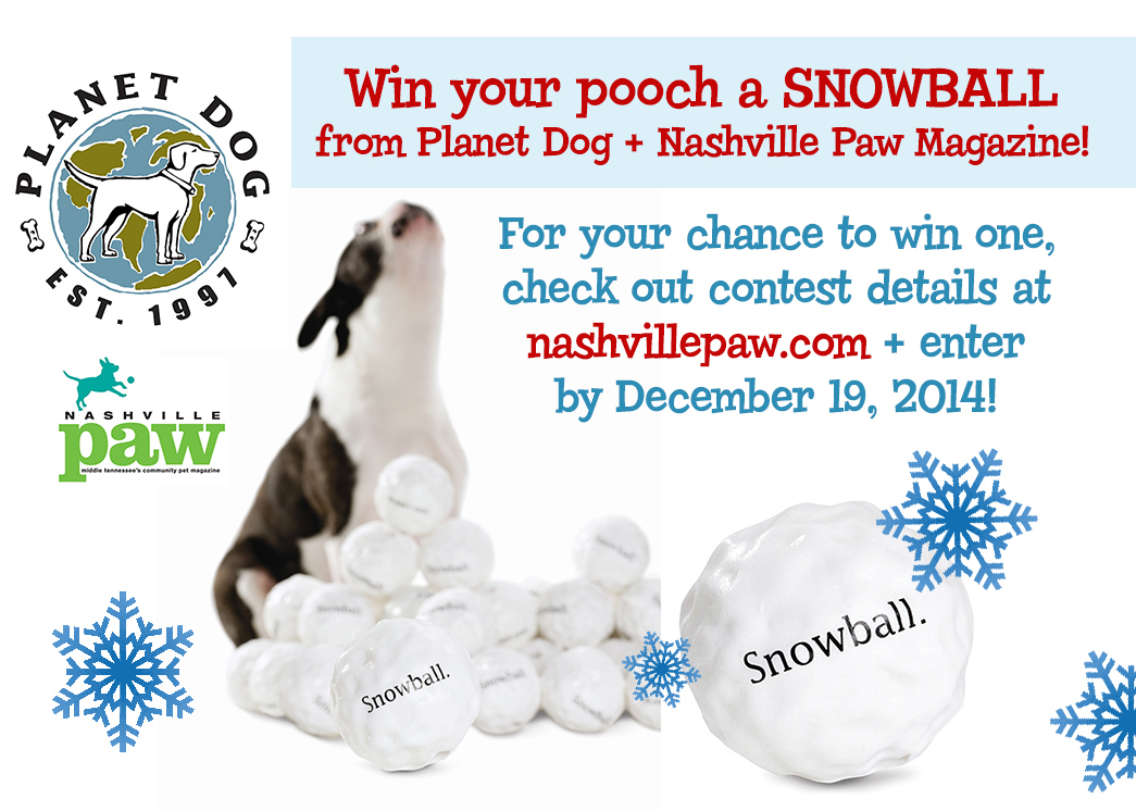 Dog Orbee Tuff Snowball Toy Wow Blog