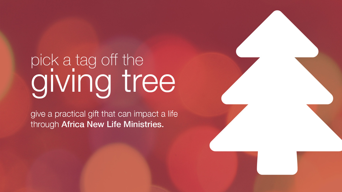 From Pastor Bruce 12.11.14
