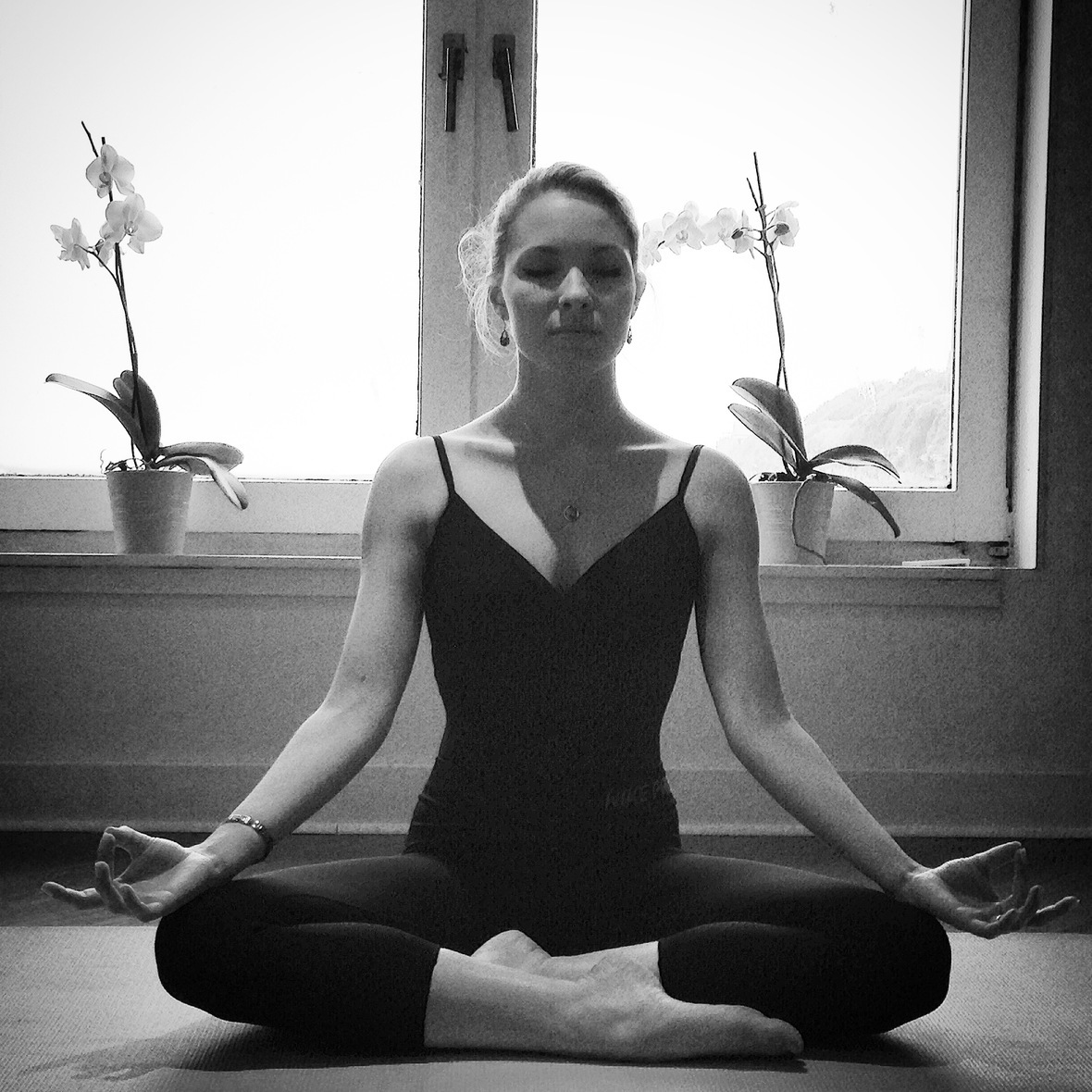 Vinyasa ashley