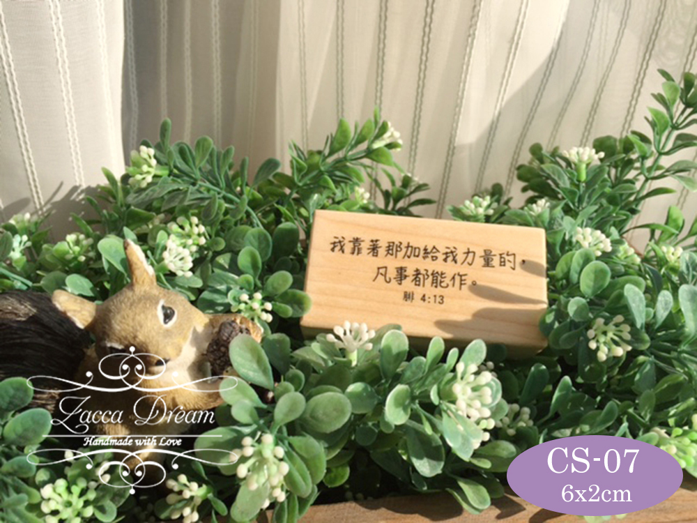 CS07