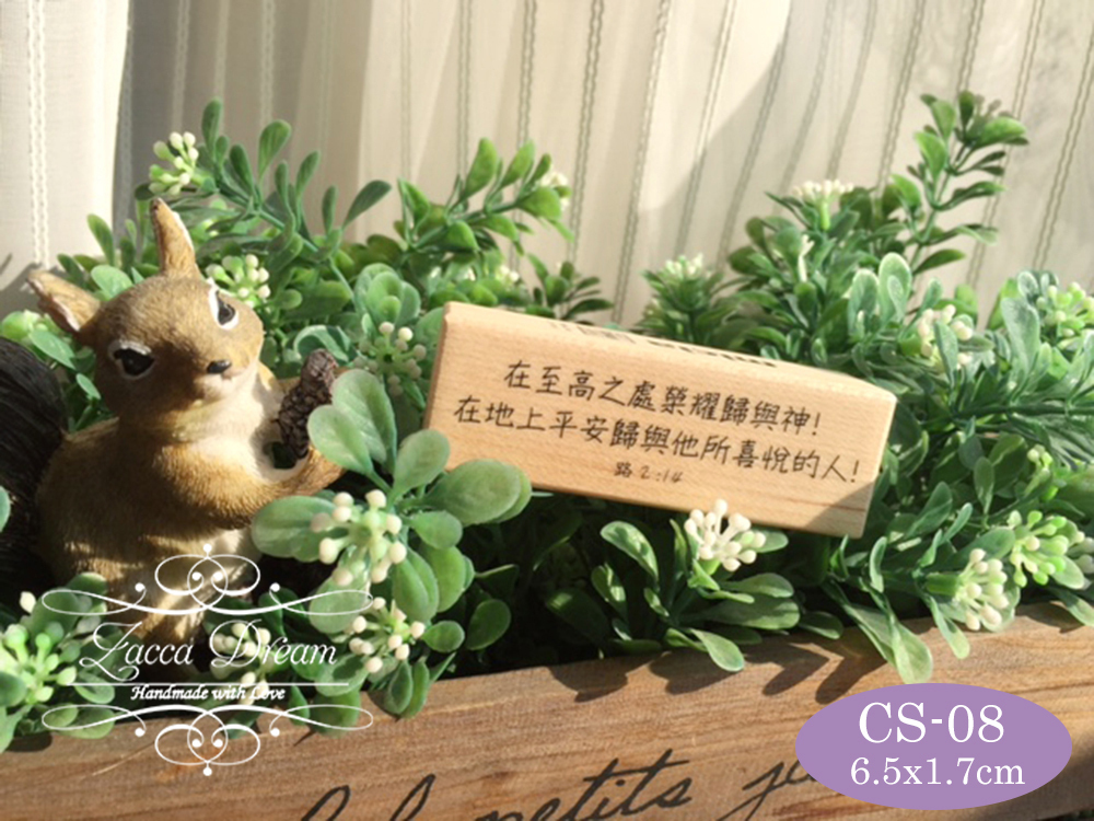 CS08