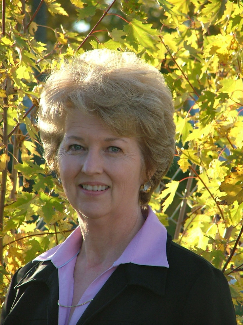 MEMBER OF THE BBB...