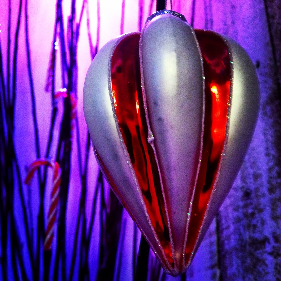 Photo-5