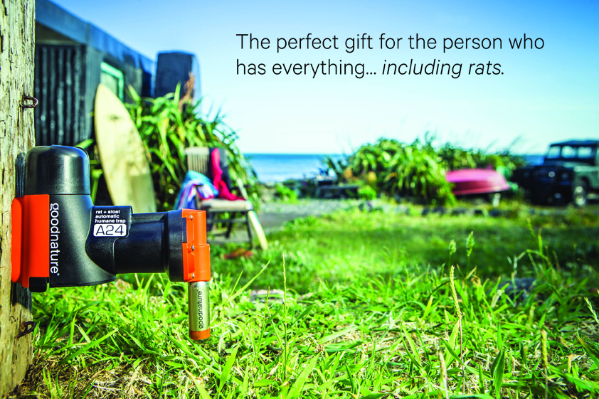 The gift for the person who has everything - even rats!