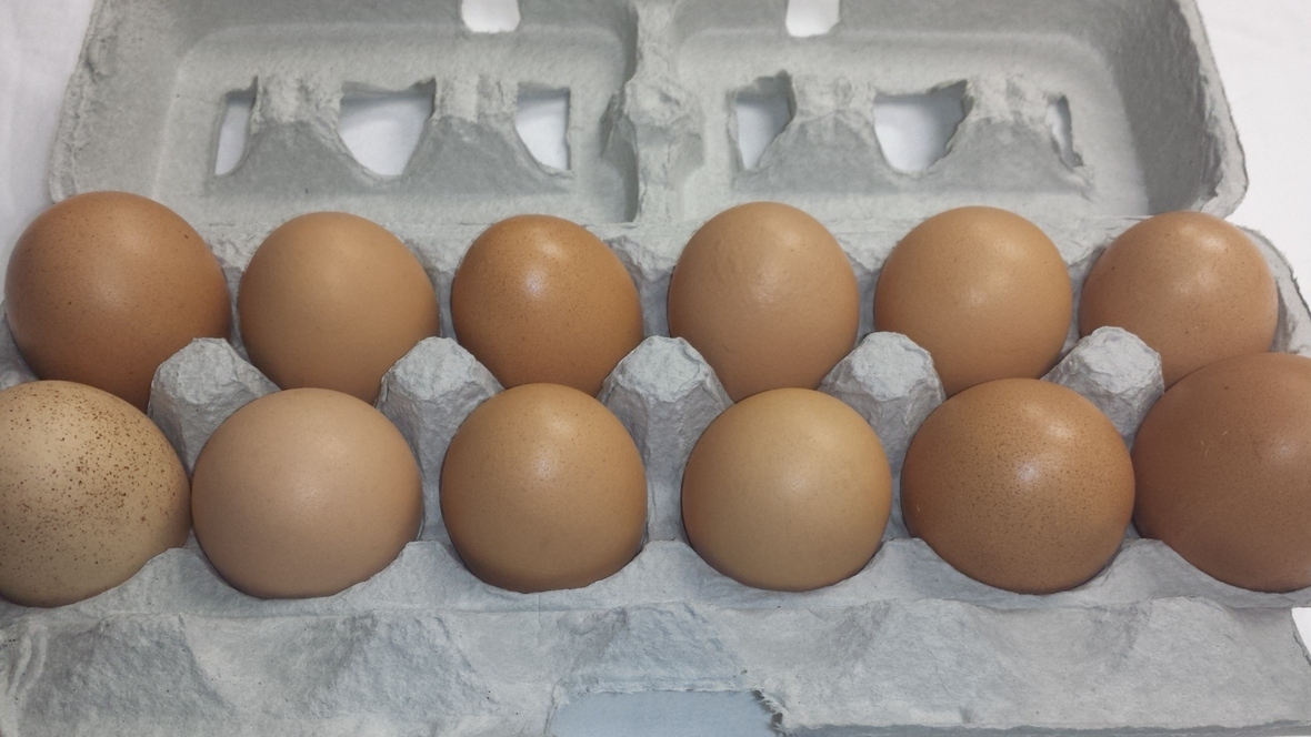 Fresh Non GMO Eggs & Old Heritage Milk In Stock NOW