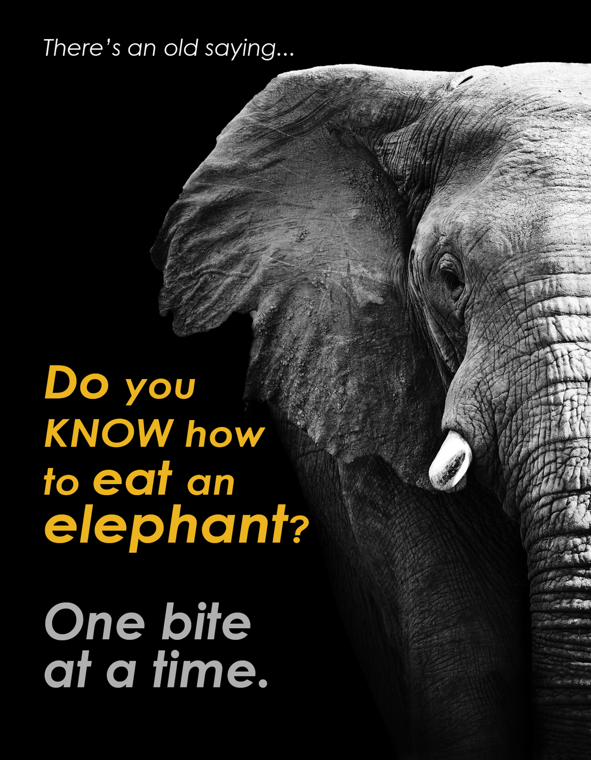 Real Estate 411 an organized home