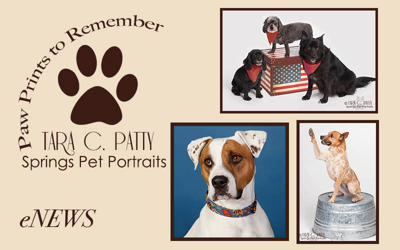 Pet Photo Contest Fundraiser