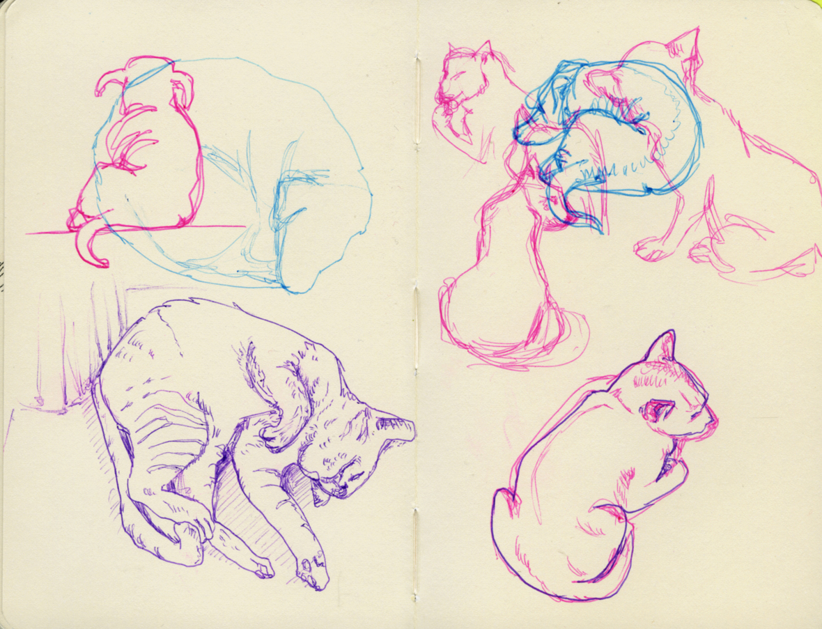20150211 cats