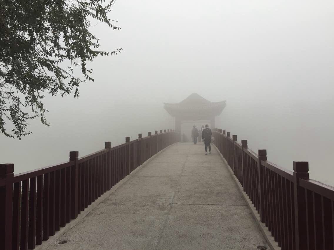 Pollution