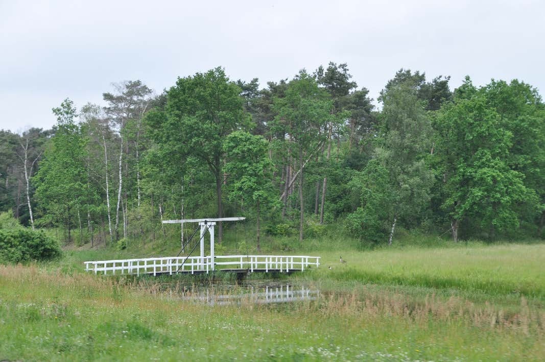 Bergsche Heide foto s zomer 20121