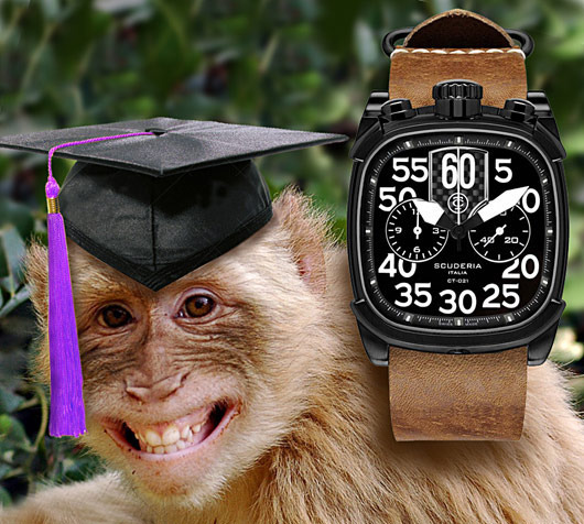 grad-monkey