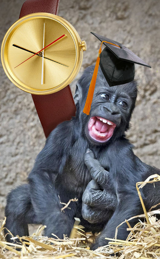 grad-gorilla