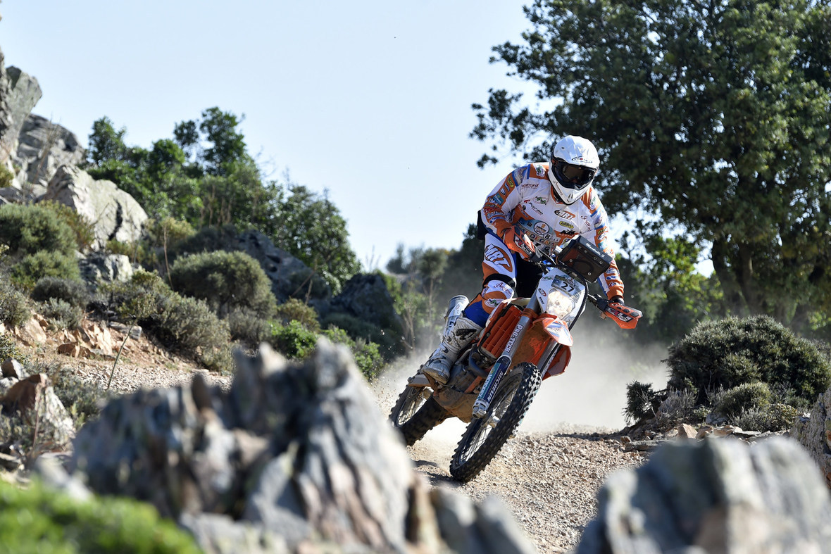 mandrelli EDO7932 rid rid