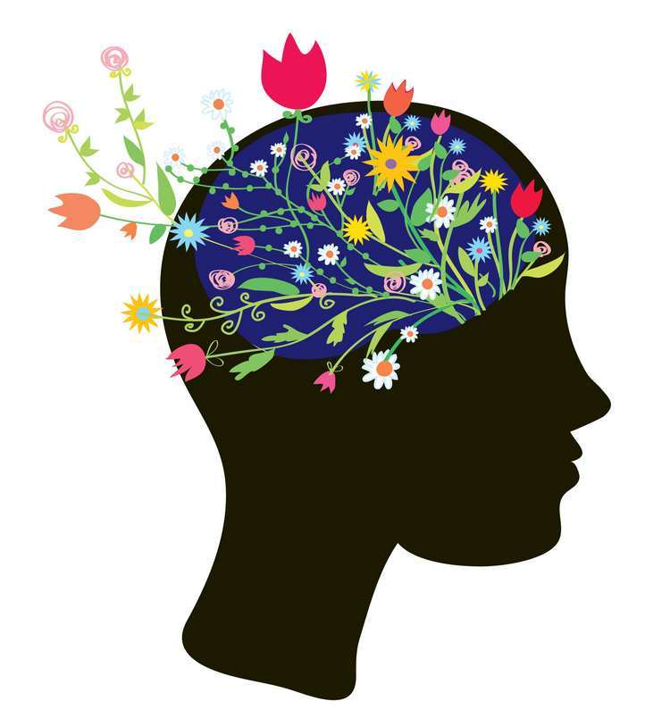 The Week Meditation & Brain Bloom