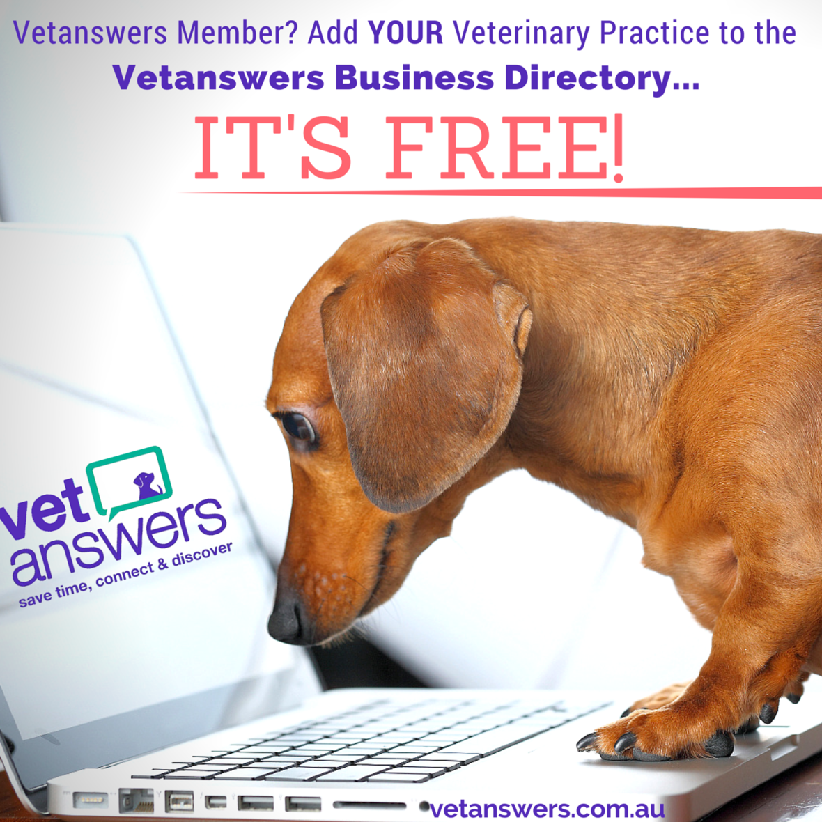 What's a vet ever done for you?