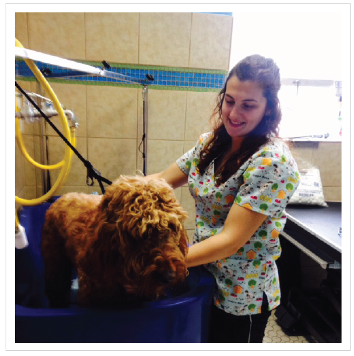 GRAND OPENING of Hounds Town Day Spa and Grooming Salon!