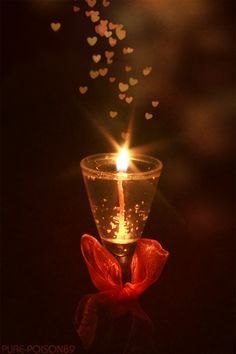 7f8e9b5e1c9225a86e14905b771a421a