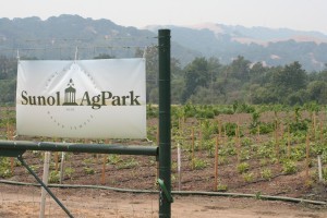 sunol-agpark-banner-300x200