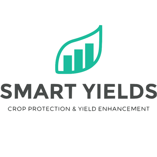 Patrick Lee of Rotten Tomatoes to Keynote Demo Day HNL!