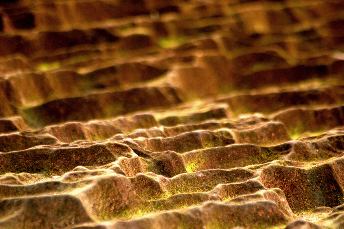 untitled  photograph 20X30 inches