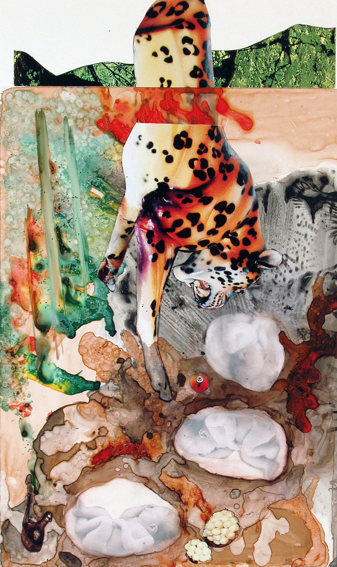 4.J.Dell The Fierce and the Innocents 27 x17 framed  450 300dpi