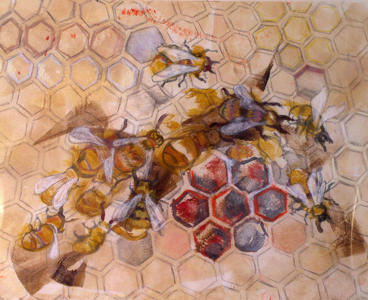 eileen ferara  bee drawing