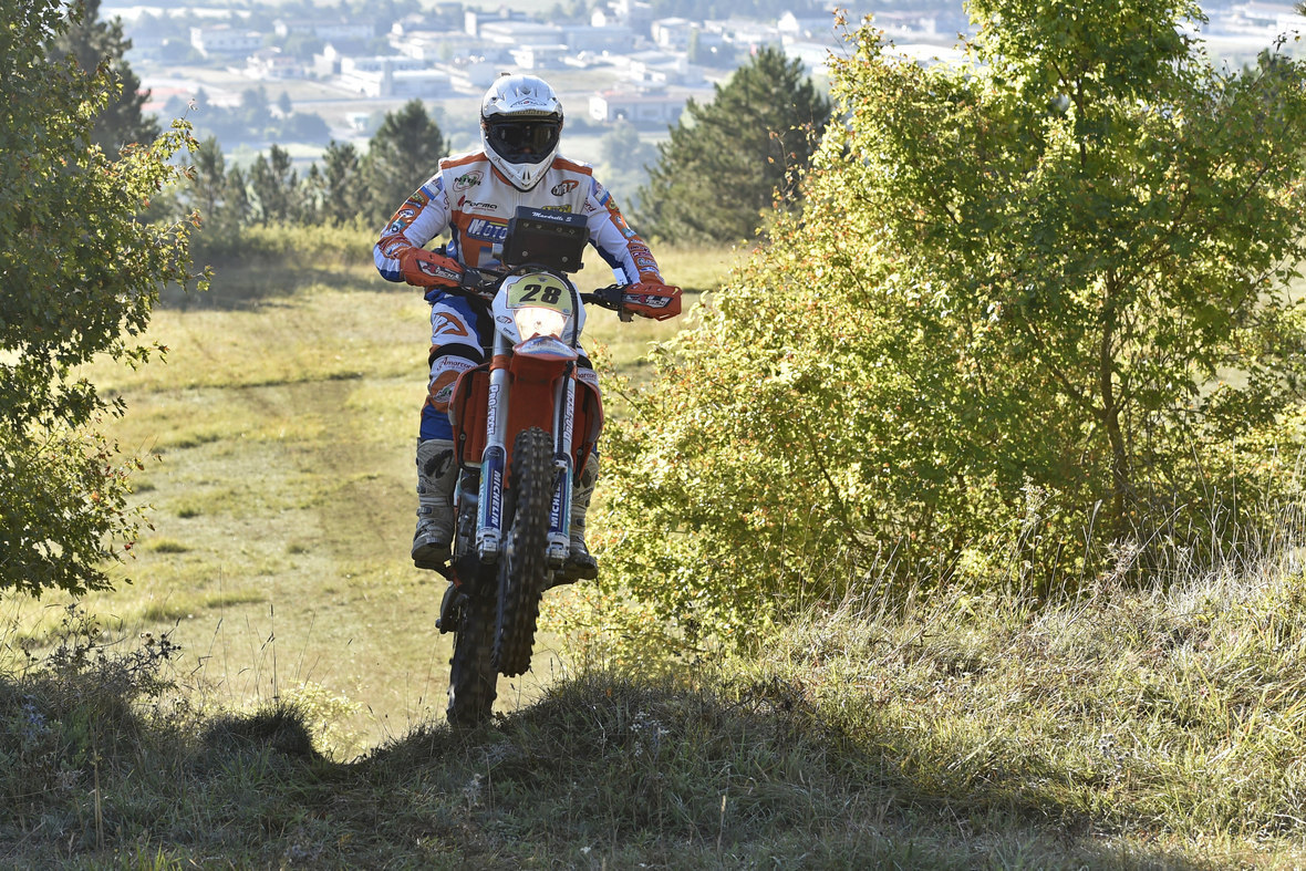 mandrelli EDO2943 rid