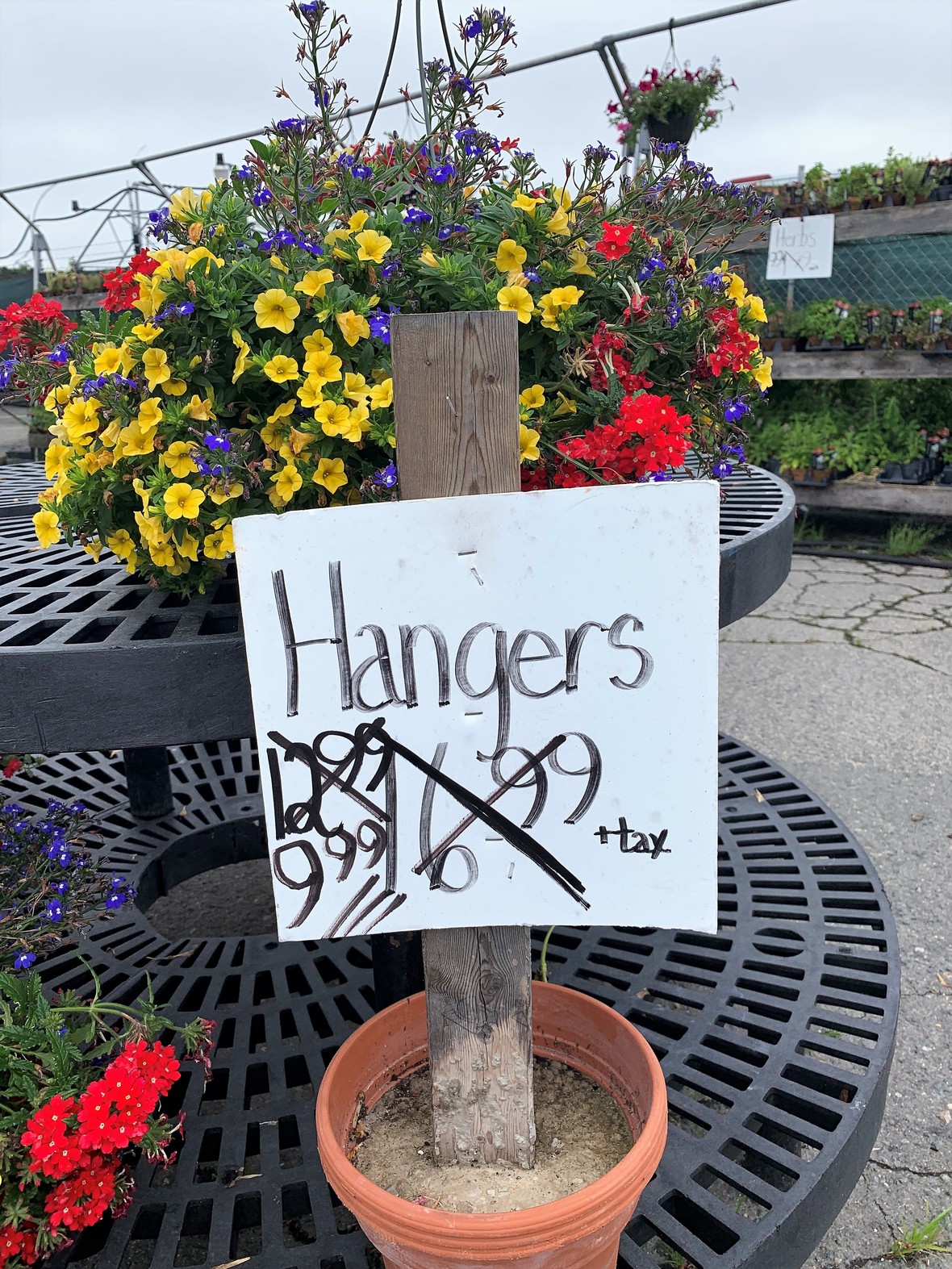 Massive Sale At Klein Greenhouse