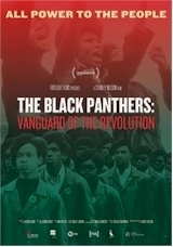 news-the-black-pathers