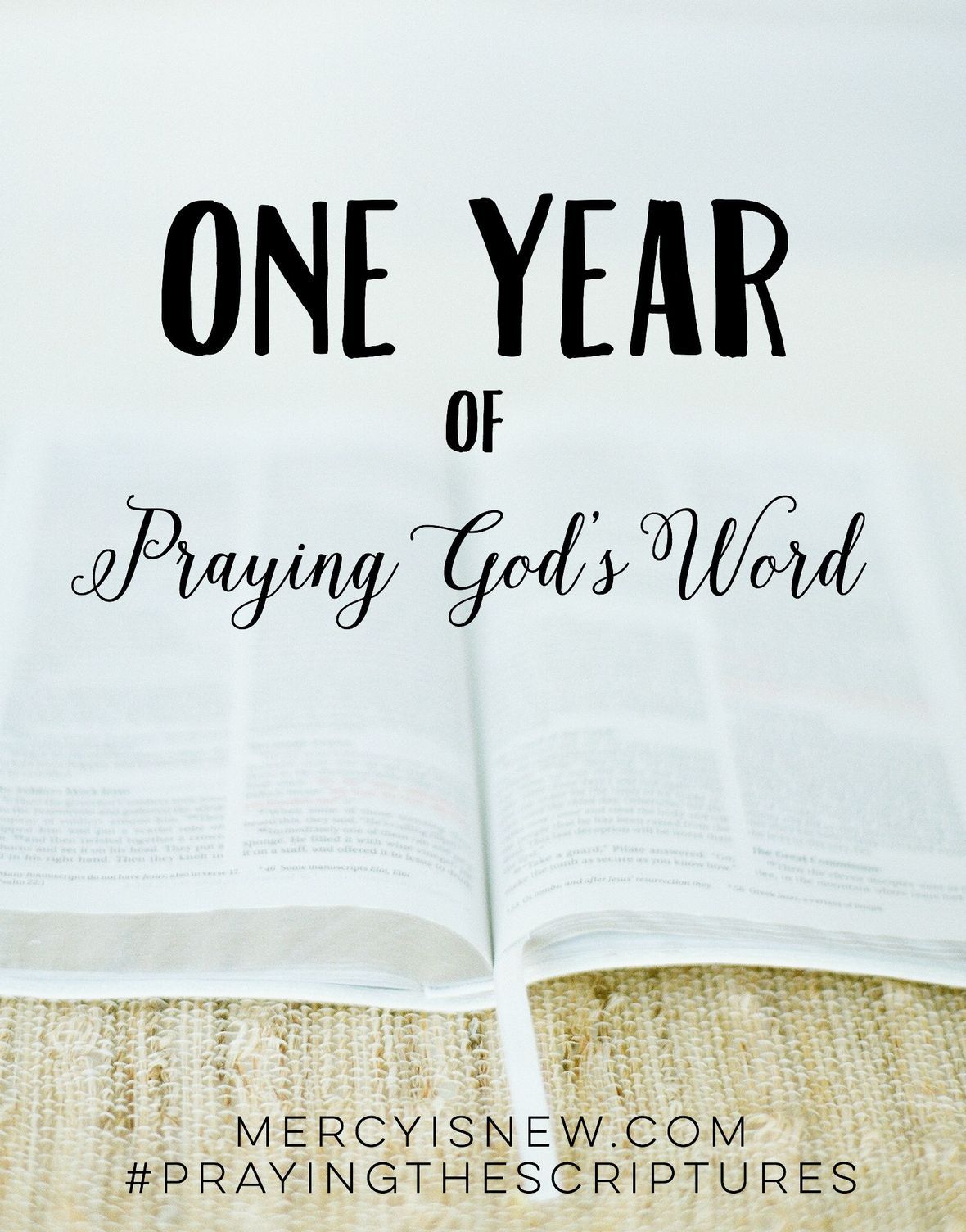 One Year of Praying God s Word COVER
