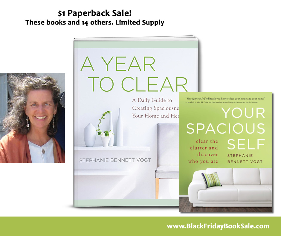 Black Friday SBV FB1