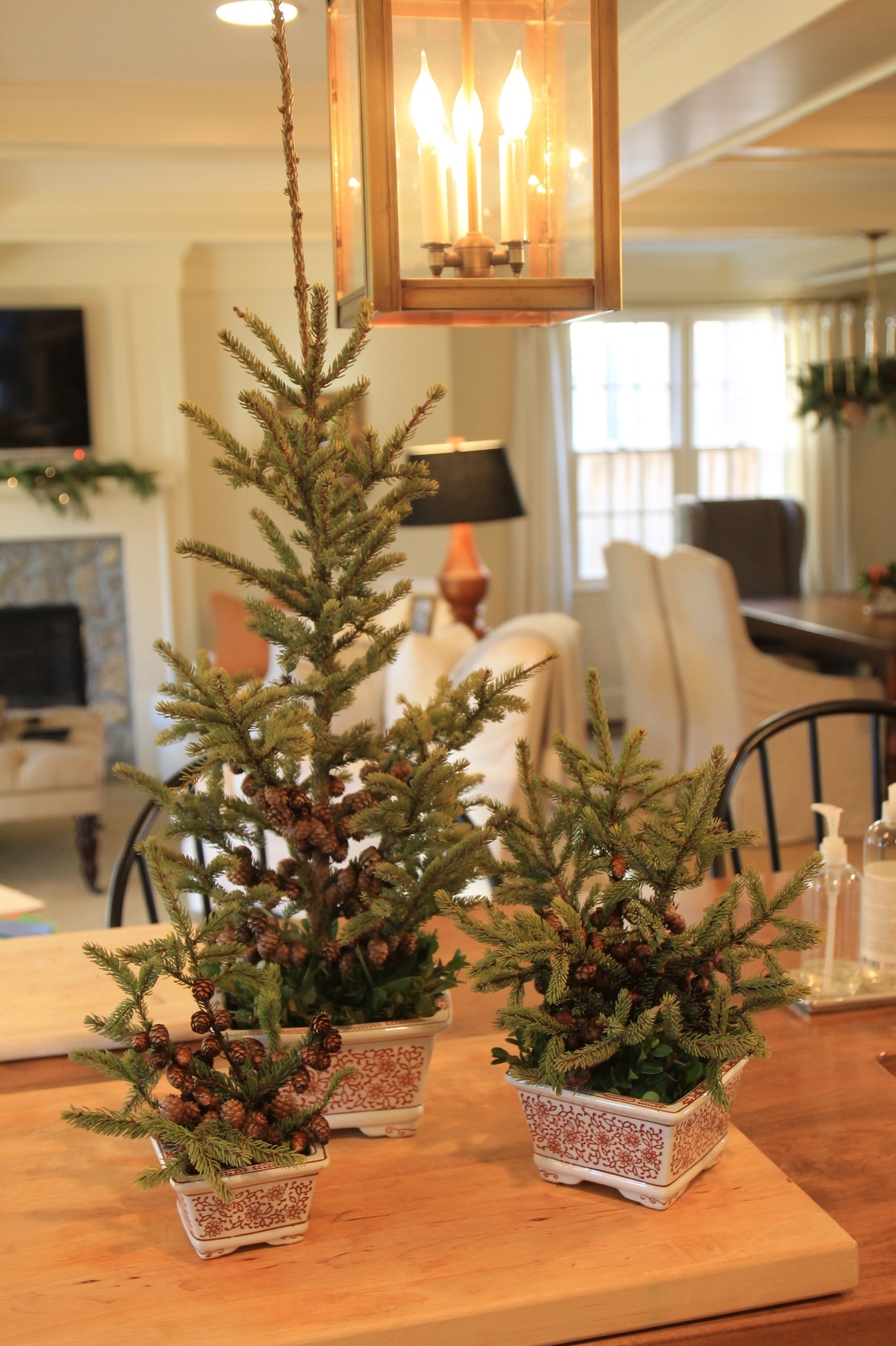 Mini Christmas Trees in Planters Easy DIY StepbyStep Planters On