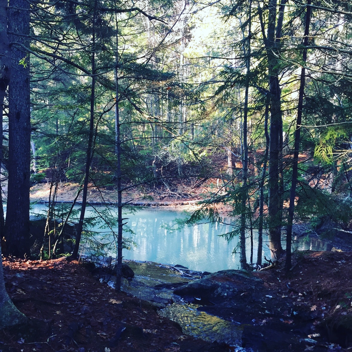 Harpswell Cliff Walk Ladies Adventure Club