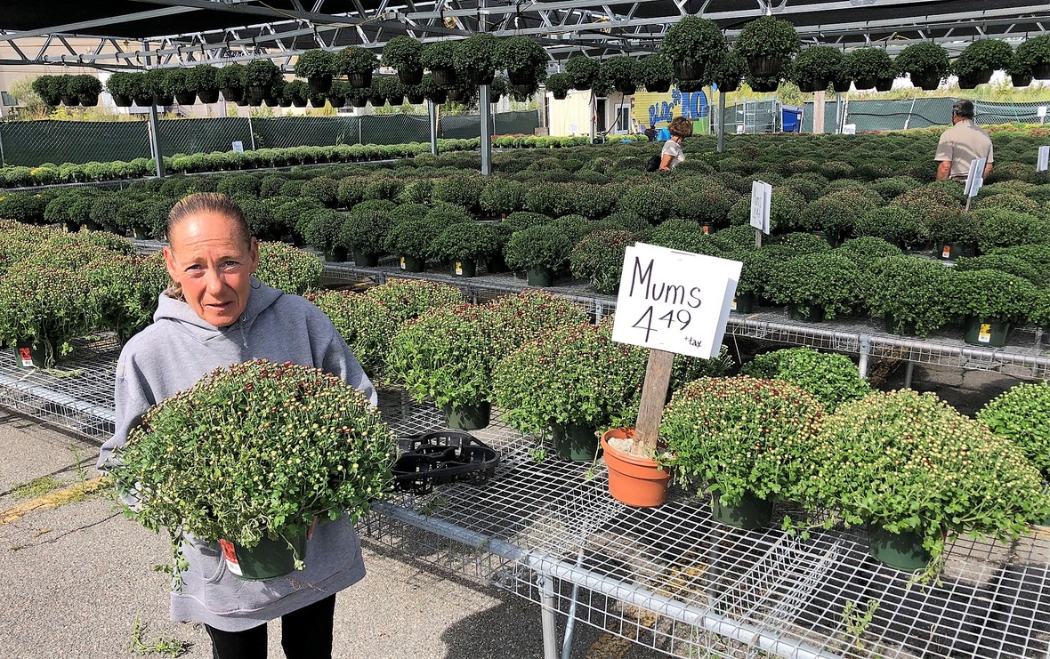 Spice It Up at Klein Greenhouse