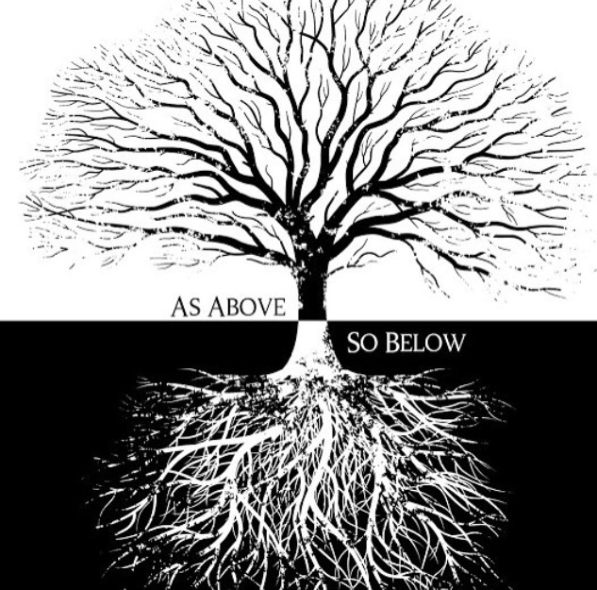 Why do I seek to connect and communicate?